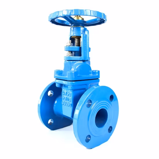 BS 5150/ DIN 3352 F4 F5/ Awwa C515 Double Flanged 2